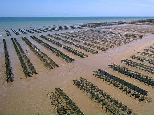 Appartement dans maison neuve cosy avec terrasse 5 mn de Bayeux et 10 mn plage du débarquement Sommervieu Esterno foto